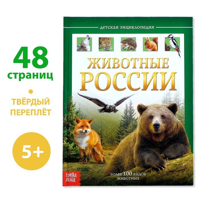 Детская энциклопедия в твёрдом переплёте «Животные России», 48 стр. - фото 2787932