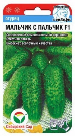 Семена огурец Мальчик с пальчик F1 Сибсад - фото 3140953