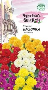 Семена Георгина Василиса Чудесный балкон смесь однолетник 0,3гр  (Гавриш) - фото 3145671