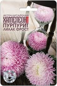 Семена Астра ХАМЕЛЕОН Селект Пурпурит Лилак Фрост однолетник 30шт (Биотехника) - фото 3145688