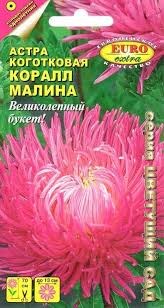 Семена Астра Коралл Малина однолетник 0,1г (АэлитаЭкстра) - фото 3149600