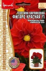 Семена Георгина Фигаро красная однолетник 5шт (Ред.сем) - фото 3151692