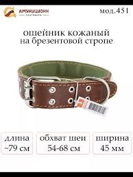 Ошейник для собак 4,5 см кожа на брезенте мод. 451 - фото 3647713