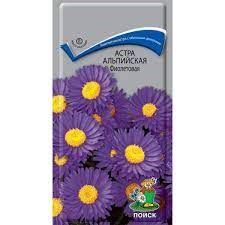 Семена цвет Астра Альпийская фиолетовая ПОИСК