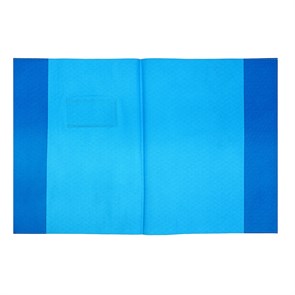 Обложка для тетрадей и дневников, 250 х 360 мм, 120 мкр