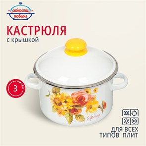 Кастрюля эмалированная 3,0 л. Весна 1MD181M