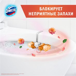 Подвесной гигиенический блок для унитаза Domestos Георгин и драгонфрут 1 шт
