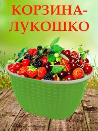 {{productViewItem.photos[photoViewList.activeNavIndex].Alt || productViewItem.photos[photoViewList.activeNavIndex].Description || 'Корзина пластиковая лукошко 10,0л Бриг'}}