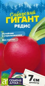 Семена Редис Сибирский гигант Семена Алтая