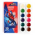 Краски акварель медовая 12 цветов Человек-паук 4846912 - фото 2768391