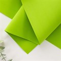 Фоамиран 1 лист 50*50 1 мм цвет Зеленый - фото 2788052