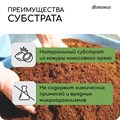 Субстрат кокосовый, универсальный, для террариумов и растений, в брикете, 4 л, 30% чипсы и 70% торф - фото 3141196